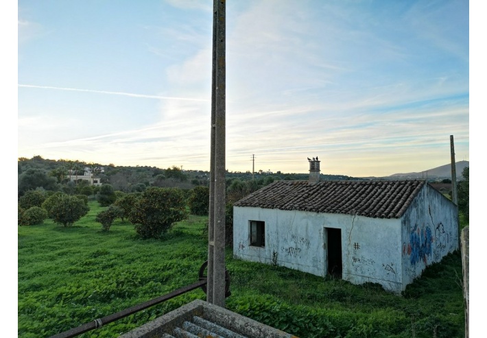 Quinta p/Restauro com 2 Hectares em Moncarapacho