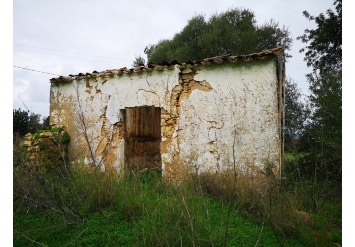 Quinta p/Restauro com 2 Hectares em Moncarapacho