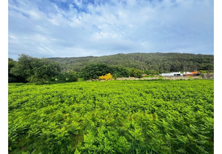 Terreno com 6270m2 para construção industrial em Carreço