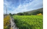 Terreno com 6270m2 para construção industrial em Carreço